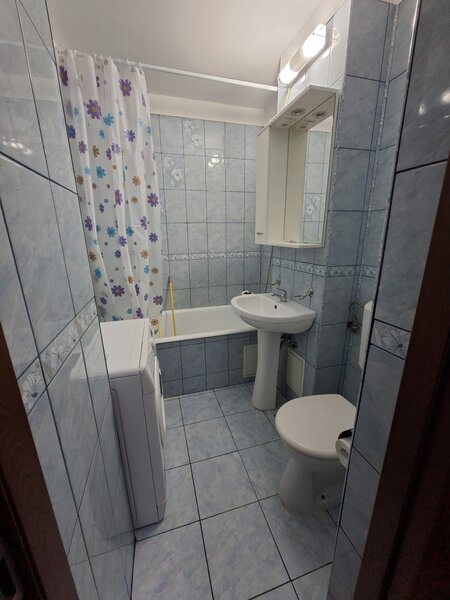 Obor, Colentina, Teiul Doamnei vav Sectia 7 Politie